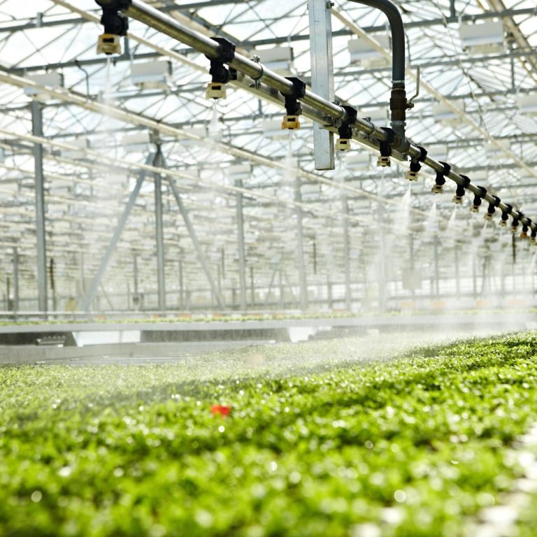 header-watergeefsystemen.1920x0